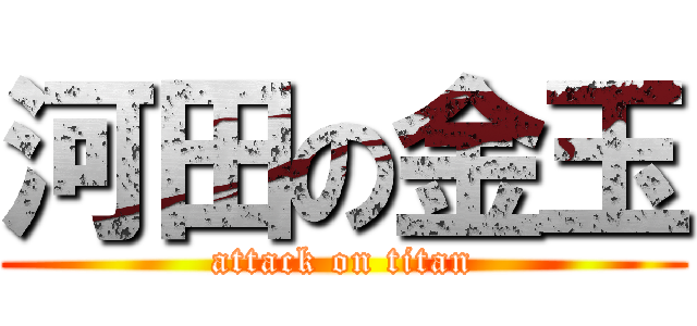河田の金玉 (attack on titan)