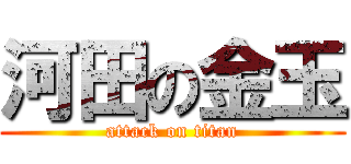 河田の金玉 (attack on titan)