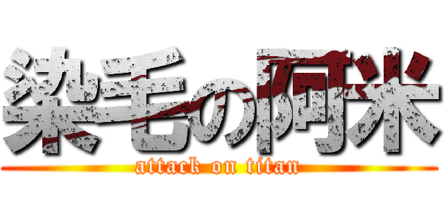染毛の阿米 (attack on titan)