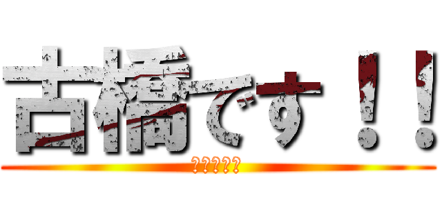 古橋です！！ (すいません)