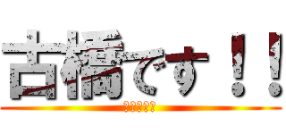 古橋です！！ (すいません)