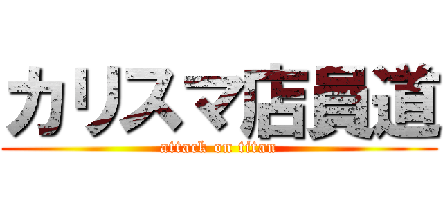 カリスマ店員道 (attack on titan)