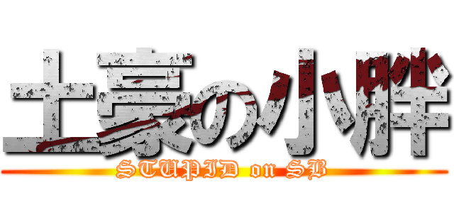 土豪の小胖 (STUPID on SB)