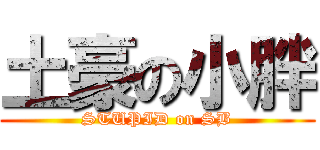 土豪の小胖 (STUPID on SB)