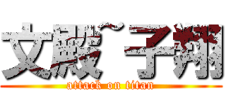 文殿~子翔 (attack on titan)