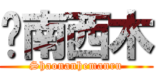 东南西木 (Shaonanhemanru)
