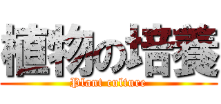 植物の培養 (Plant culture)