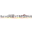 ちょっと何言ってるか分かんない ( )