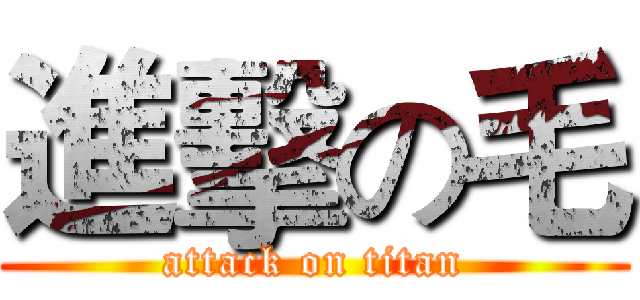 進擊の毛 (attack on titan)