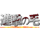 進擊の毛 (attack on titan)