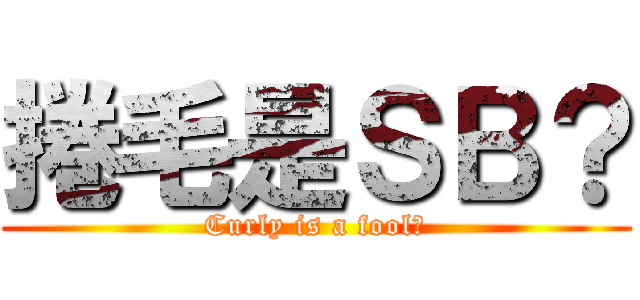 捲毛是ＳＢ？ (Curly is a fool?)