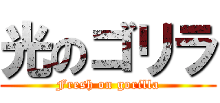 光のゴリラ (Fresh on gorilla)