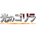 光のゴリラ (Fresh on gorilla)