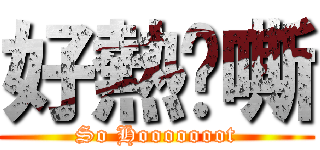 好熱啊嘶 (So Hooooooot)