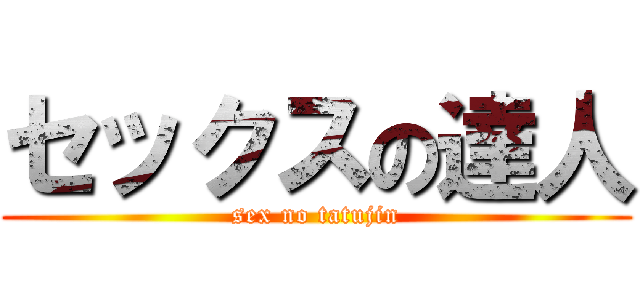 セックスの達人 (sex no tatujin)