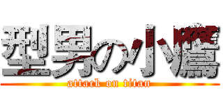 型男の小鷹 (attack on titan)
