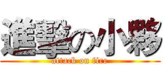 進擊の小夥 (attack on fire)
