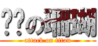 喔喔の珊瑚 (attack on titan)