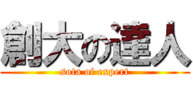 創大の達人 (sota of expert)