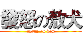 發怒の敖犬 (angry on dog)