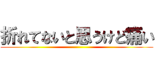 折れてないと思うけど痛い ()