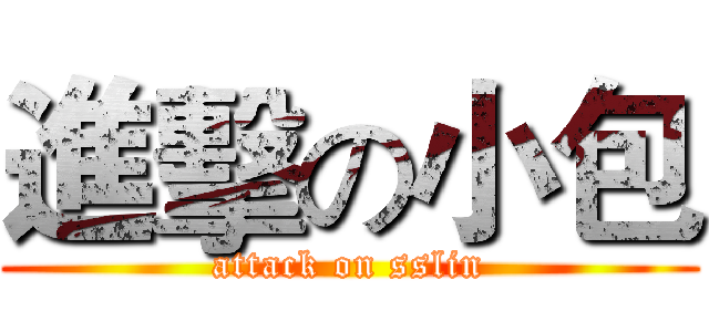 進擊の小包 (attack on sslin)