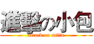 進擊の小包 (attack on sslin)