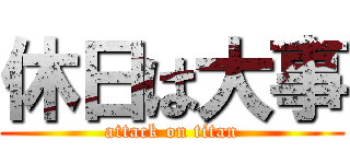 休日は大事 (attack on titan)