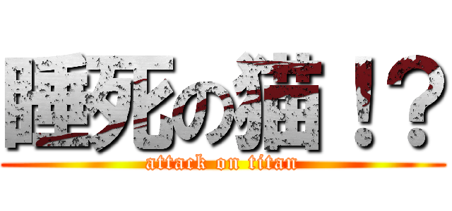 睡死の猫！？ (attack on titan)