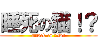 睡死の猫！？ (attack on titan)