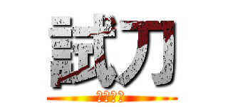 試刀 (善政掰掰)