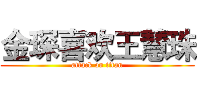 金琛喜欢王慧珠 (attack on titan)