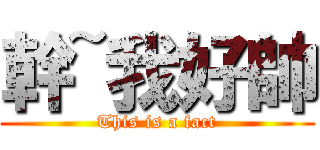 幹~我好帥 (This is a fact)