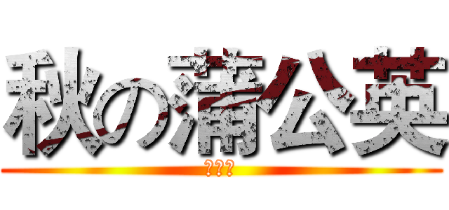 秋の蒲公英 (秋家军)