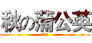 秋の蒲公英 (秋家军)