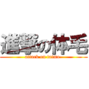 進撃の体毛 (attack on taimo-)