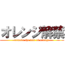 オレンジ解禁 (remove the van of orange)