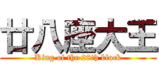 廿八座大王 (King of the 28th block)