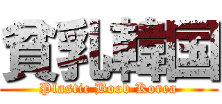 貧乳韓国 (Plastic Boob Korea)