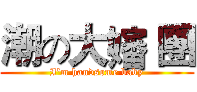 潮の大嬸 團 (I'm handsome baby)