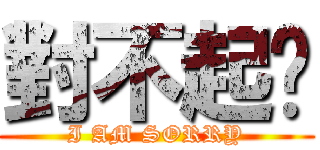 對不起啦 (I AM SORRY)