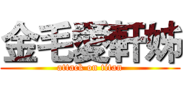 金毛愛軒姊 (attack on titan)