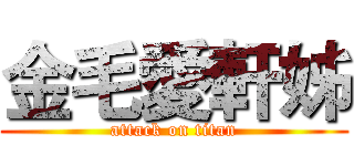 金毛愛軒姊 (attack on titan)
