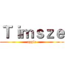 Ｔｉｍｓｚｅ (apple)