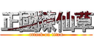 正國煉仙草 (attack on titan)