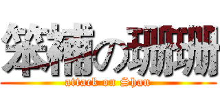 笨補の珊珊 (attack on Shan)