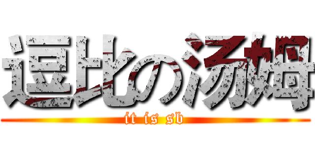 逗比の汤姆 (it is sb)