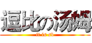 逗比の汤姆 (it is sb)