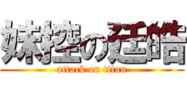 妹控の廷皓 (attack on titan)