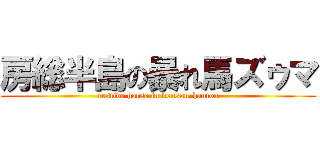 房総半島の暴れ馬ズゥマ (restive horse in bousou-hantou)